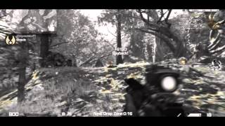 TDC: Multi-Cod Montage 17