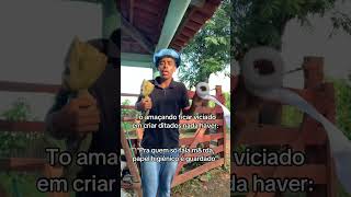 Viciado 🤣 #memes #situacoesengracadas #humor #comedia
