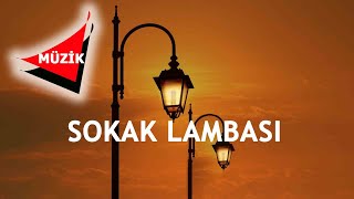 Sokak Lambasi