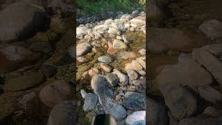 Au file de l eau et des oiseaux 