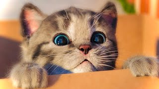 : NEW LITTLE KITTEN ADVENTURE - LONG SPECIAL CARTOON FOR KIDS LEARNING AND PET CARE ANIMAL FRIENDS #57