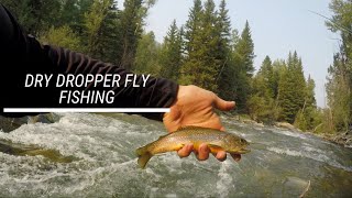 Dry Dropper Action after the Float - Fly Fishing Clear Creek above Clear Creek Reservoir-August 2021