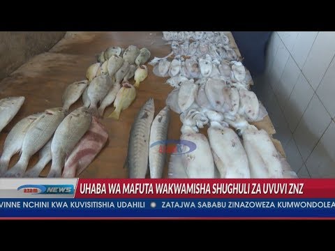 Video: Makala Ya Wavuvi Wa Novemba - Kubadilika Kwa Novemba