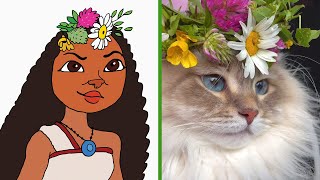 MOANA | Moana in Cat Memes | Funny Animals videos