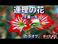 新曲C/W『連理の花』千葉一夫さん/カラオケ