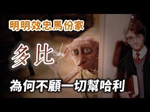 最勇敢的自由小精靈！多比為何不惜背叛主人，也要幫助哈利波特？【哈利波特透視鏡】#29|奇幻圖書館