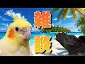【ウ＆亀チ雑談】バイオ配信の前に鳥ーズのみなさんにうまい物を報告する会