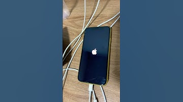 IPHONE XR REINICIANDO - TÉCNICO DISSE QUE É PLACA 😱😣 #assistência #assistenciatécnica #iphonexr