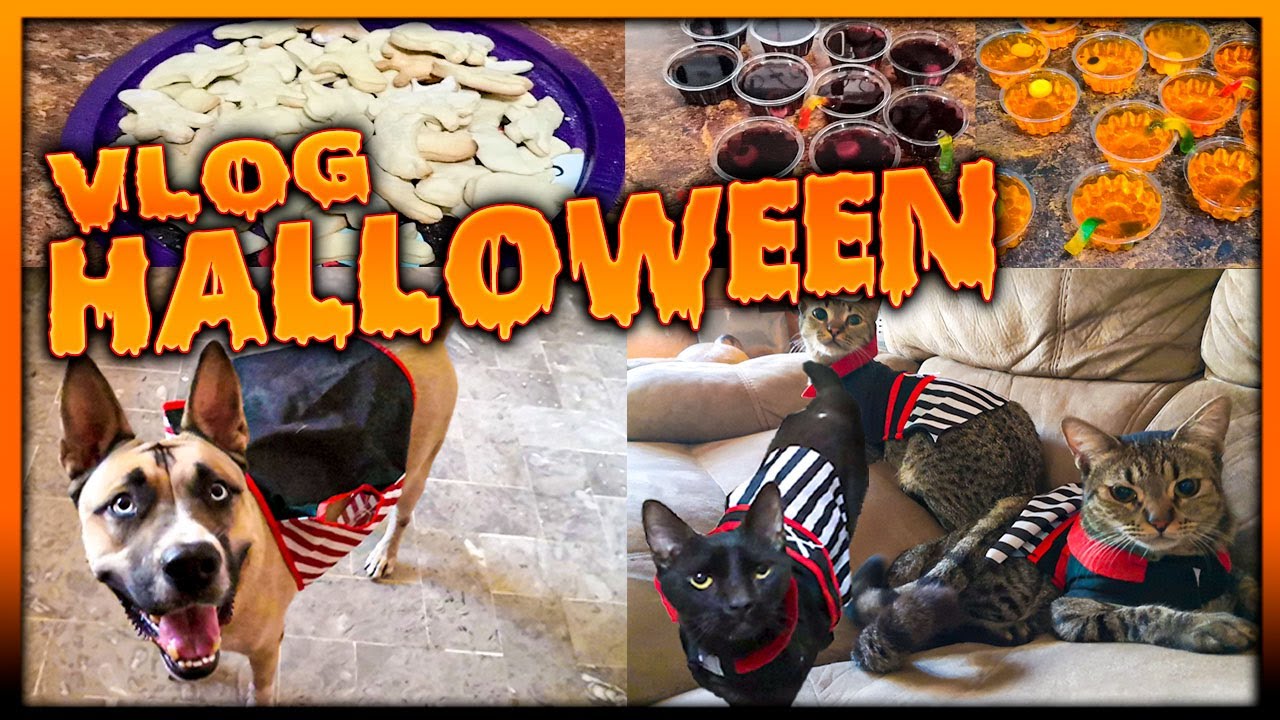 👻🎃VLOG HALLOWEEN 2020👻🎃 - VLOG#1 | Perla y Aless