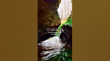 أرح سمعك وقلبك تلاوة خاشعة 🥹❤️❤️🌿🌷🌿 القارئ أحمد النفيس 🌿