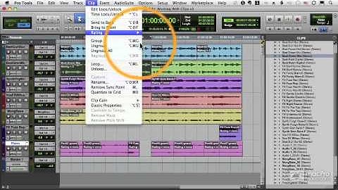 Pro Tools 10 104: Editing Audio - 15 Displaying Clip Information