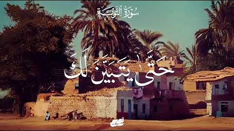 إحساس وخشوع عالي جدا من كروان الإذاعة والتلفزيون القارئ الشيخ : حجاج الهنداوي|| سورة التوبة الآية ٤٣