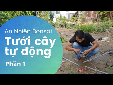 Video: Làm thế nào để bạn điều chỉnh một đầu tưới phun mưa thủy lực?