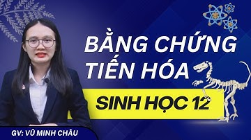 Lớp 12 SGK mới | Bằng chứng tiến hóa | Sinh học 12 (Cánh diều) | Cô Vũ Minh Châu