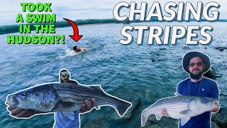 Chasing Striped Bass Into the Hudson River (BAD IDEA?!)