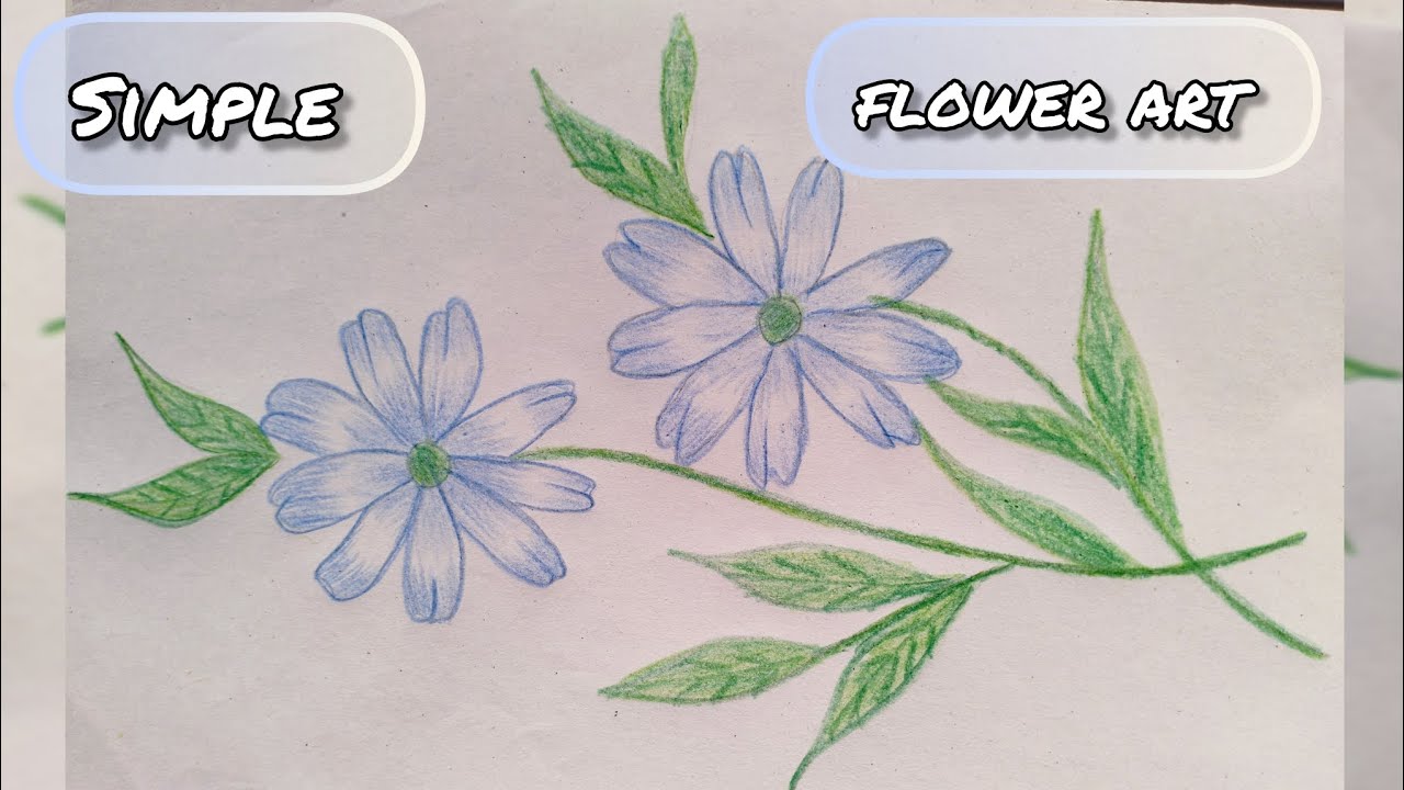  Beautiful flower🥀🍀 drawing  || How To Draw Simple💮🌿 Fower With Pencil ||