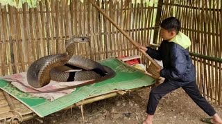 VIDEO FULL: 95 Days Harvesting Agricultural Products Goes to the market sell - Daily Life