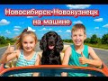 Новосибирск-Новокузнецк 2025. Собака нагадила на Артёма. Парк Гагарина. Май. Шалаш для сна.