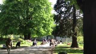 Paris Park Gem 17 Things To Do In Luxembourg Garden