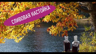 Сливовая домашняя настойка - Сливянка