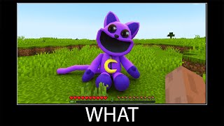 Minecraft wait what meme part 322 realistic minecraft CatNap Poppy Playtime