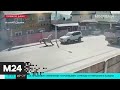 На Сахалине лошадь выскочила на дорогу и врезалась во внедорожник - Москва 24