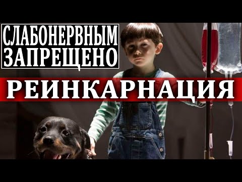 ЗАГАДОЧНЫЕ ЛЮДИ, КОТОРЫЕ ПОМНЯТ ПРОШЛЫЕ ЖИЗНИ! ФИЛЬМ ЗАПРЕЩЕН! (16.07.2020) ДОКУМЕНТАЛЬНЫЙ ФИЛЬМ HD