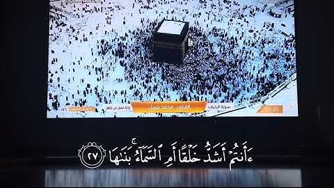 سورة النازعات | الشيخ ماهر المعيقلي ( راحة نفسية ❤️#قرآن #ماهر_المعيقلي #اكسبلور