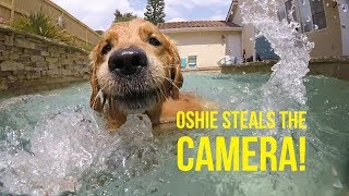 POOL FUN AND OSHIE STEALS THE CAMERA | Oshies World