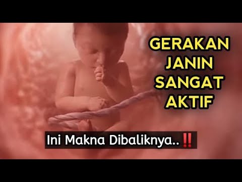 Kenapa Janin Terlalu Aktif Bergerak Ini Arti Dibaliknya