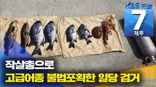 [7시뉴스제주/주요뉴스] ‘다금바리에 돌돔까지’ 작살총으로 고급어종 불법포획한 일당 검거 / KBS 2021.05.18.