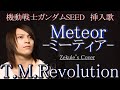 【機動戦士ガンダムSEED】Meteor -ミーティア- / T.M.Revolution【Zekule's Cover】