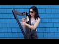 New York  |  St. Vincent (Harp Cover)