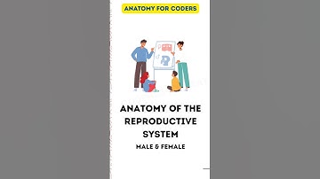 Reproductive System Explained in 20 Seconds! | Medical Coding #shorts