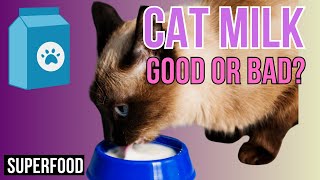 Commercial Cat Milk  PRO's and CONS!