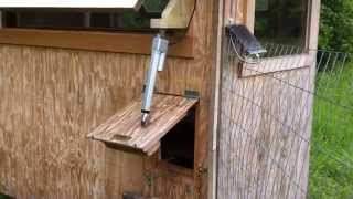 Heavy duty automatic chicken coop door