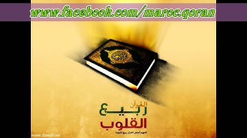 ما تيسر من سورة الحج تلاوة مبكية