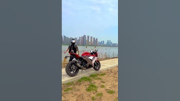 Catnip Adventures: Feline Fun Galore