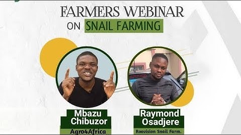 How to Start A Successful Snail Farm from Scratch | Beginners Guide