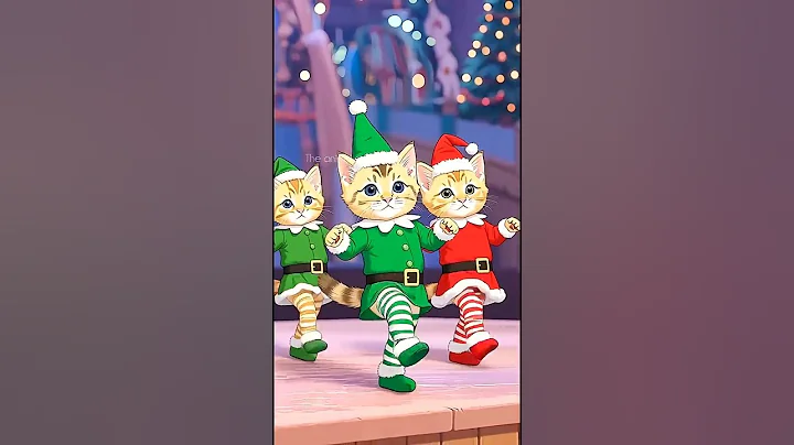 Video 11682401: cats funnycats catlover, kitten funny dance