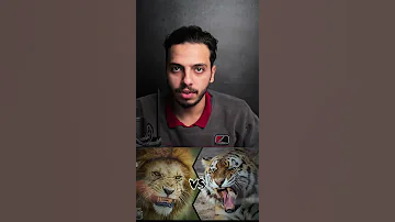 أسد ضد نمر قتال حتى الموت 