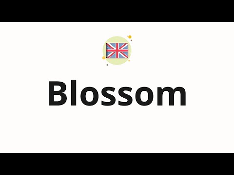 How to pronounce Blossom 