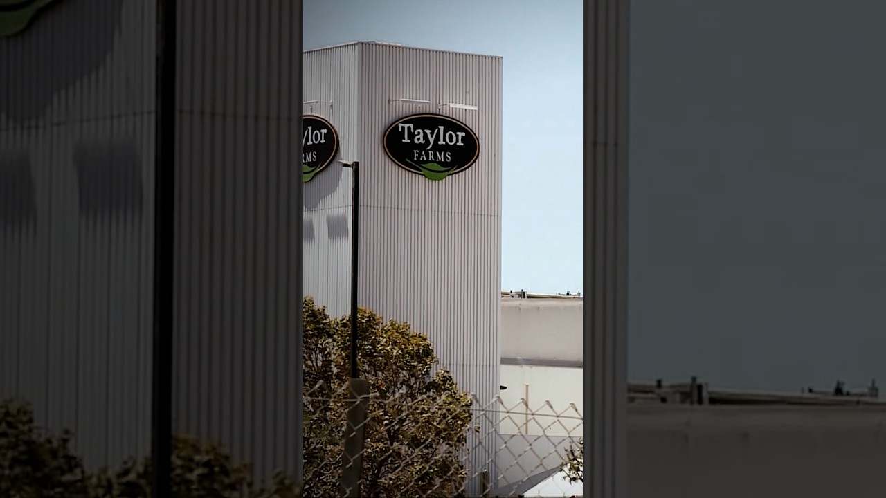 Taylor Farms and Taco Bell remove iceberg lettuce amid parasite outbreak