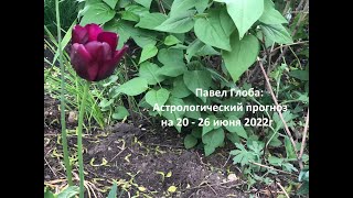 Павел Глоба: Астрологический прогноз на 20 - 26 июня 2022 г.