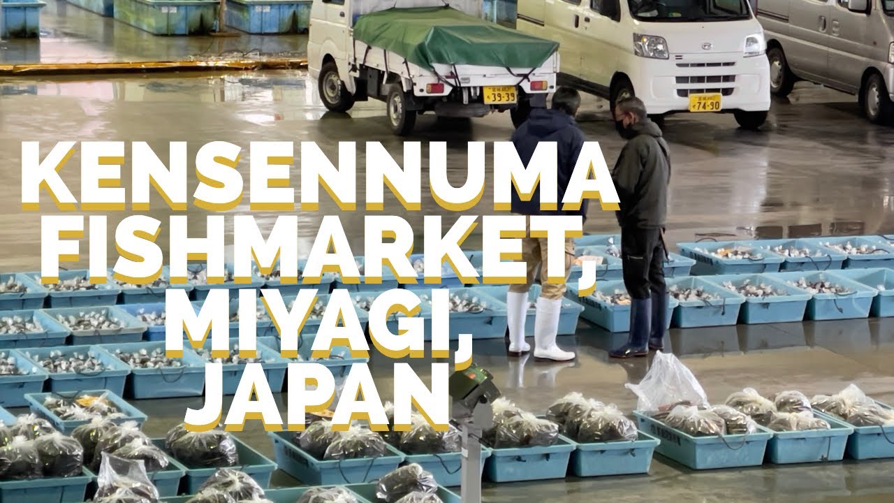 Kesennuma Fish Market, one of the largest in Japan, Miyagi #travel ...