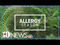 How to deal with seasonal allergies