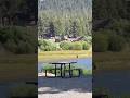Spotted an American Bald Eagle Skimming the Water at Big Bear Lake! #BigBearEagles #Jackieandshadow