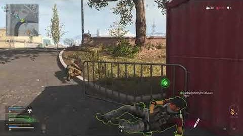 COD Warzone: Trolling downed enemy
