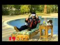 الفنانة امل حمدى ممثلة 