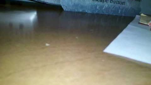 Become a admin on my Graal server!!!